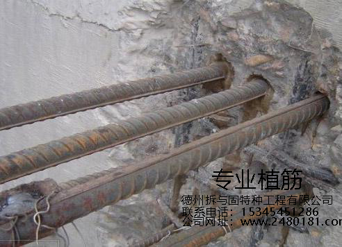 1533091430447810.jpg timg (11).jpg