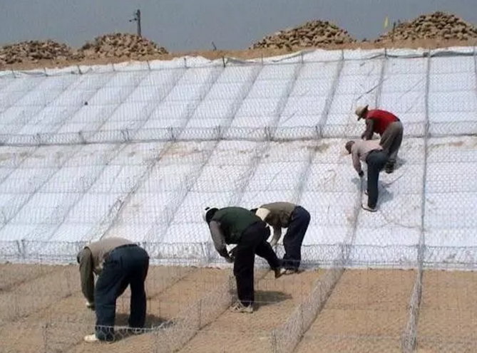 1533741854369361.jpg 1527495927(1).jpg