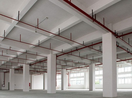 1533798135283425.jpg 7.jpg