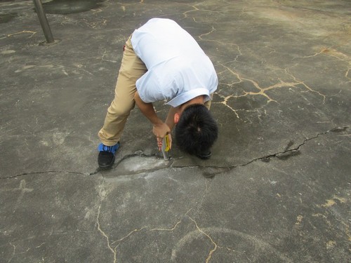 1533798150776308.jpg 10.JPG