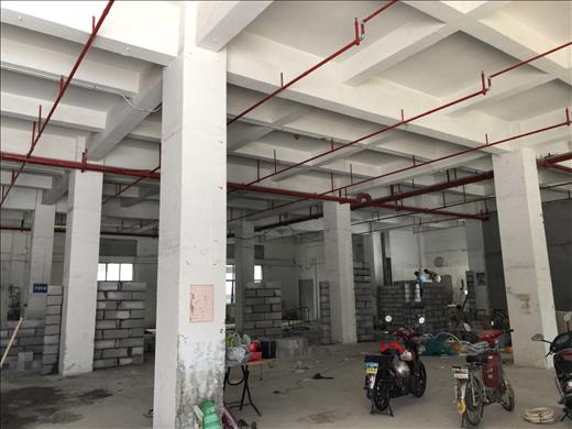 1534768555721173.jpg 729432770572468283.jpg