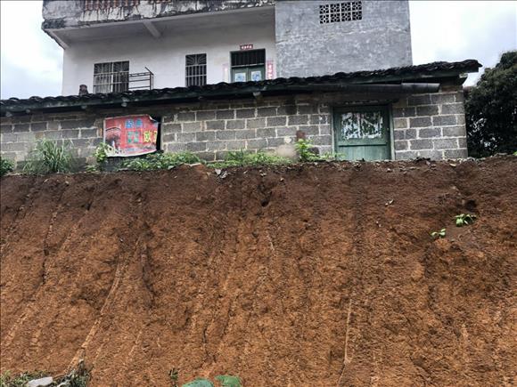 1535074133823105.jpg 80067334503589530.jpg