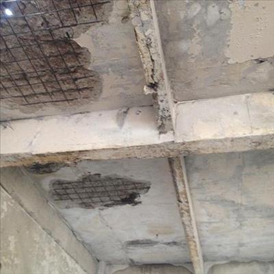 1536124436464573.jpg 201692910541142.jpg