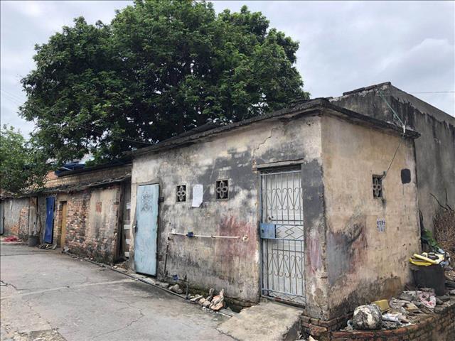 1536282738919893.jpg 263023847145567509.jpg