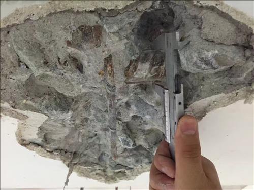 1536463093429773.jpg IMG_5706.JPG