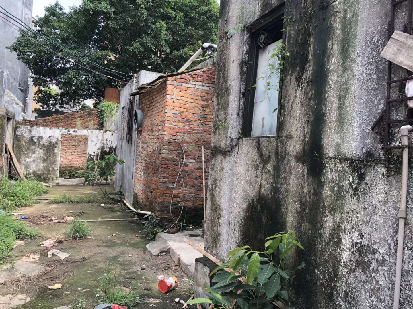 1536916729731368.jpg 186039225560397827.jpg