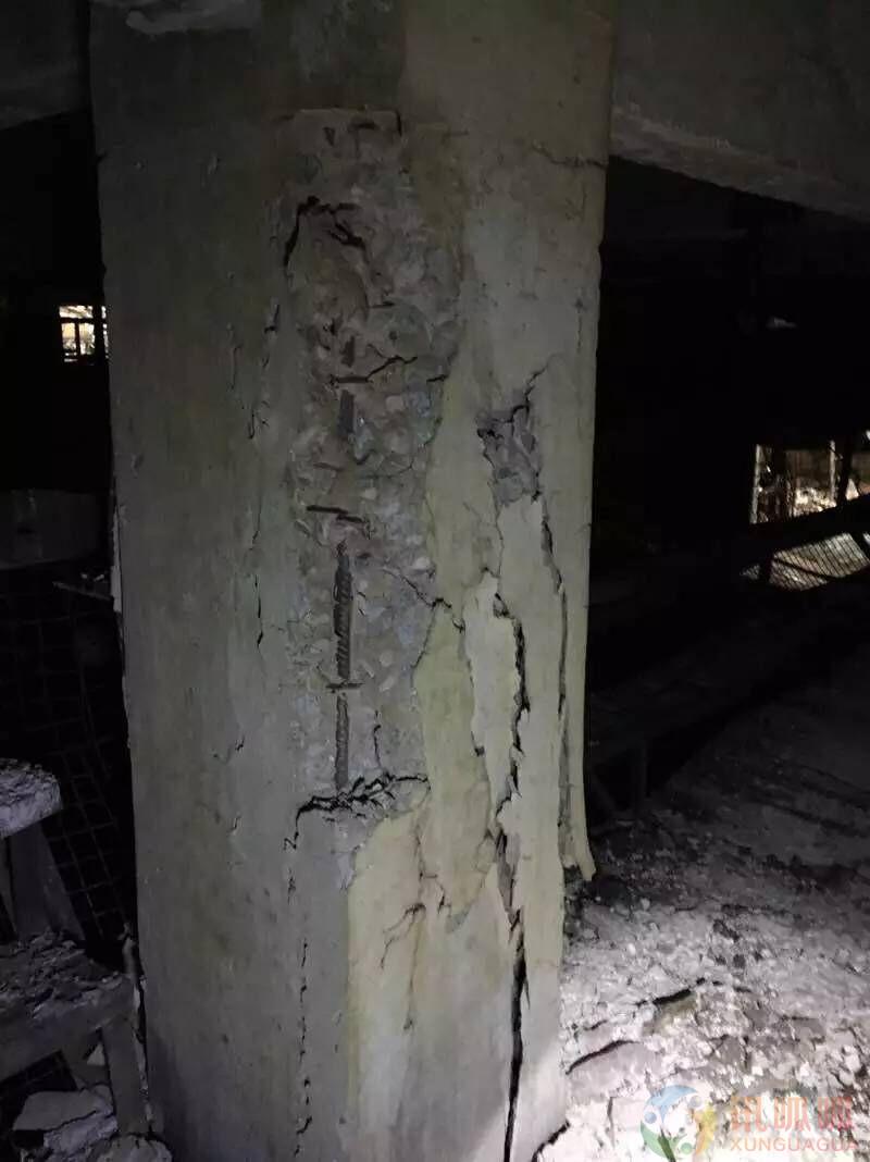 1537081067868723.jpg 151384280765292.jpg