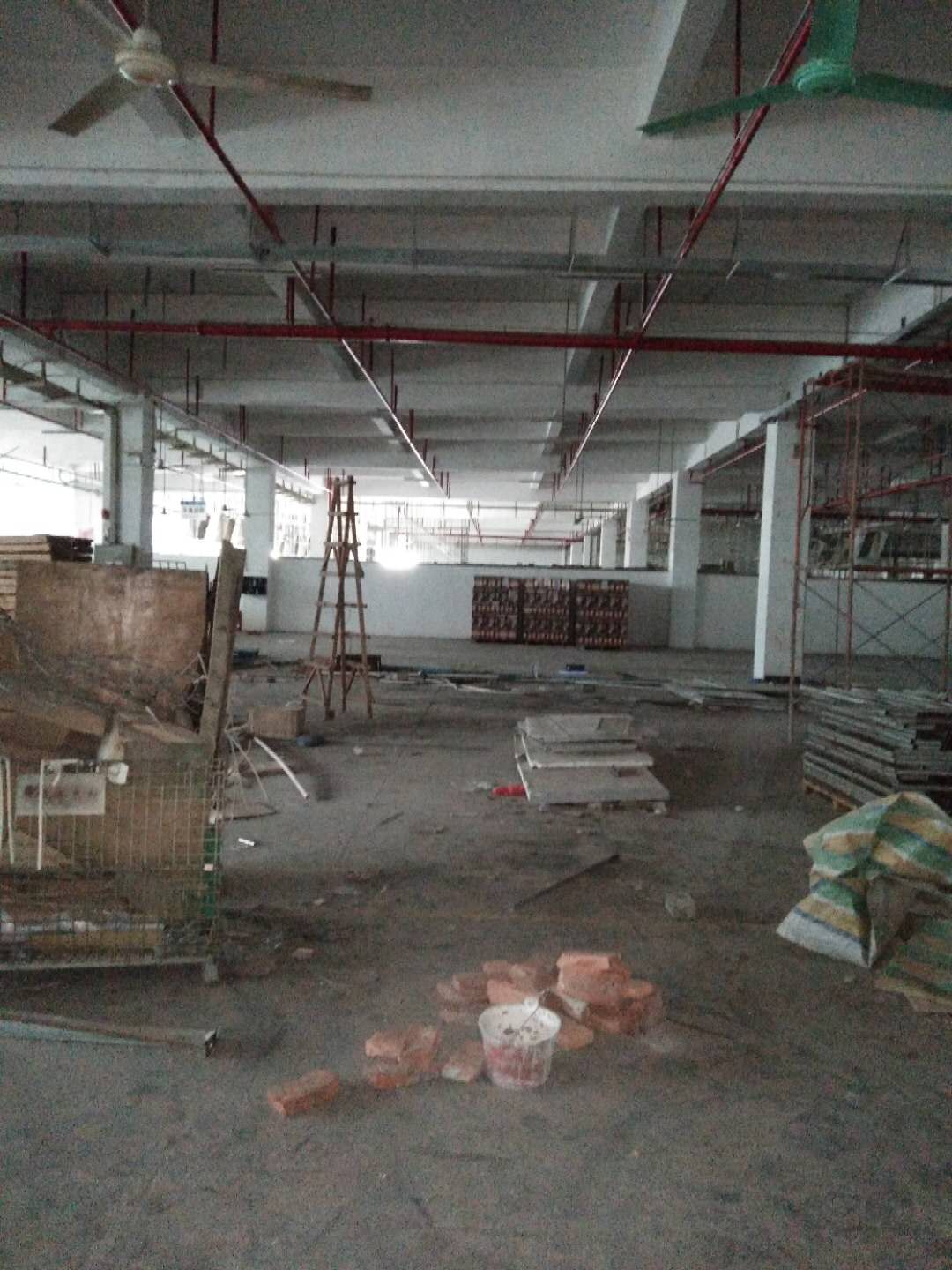 1537968554436181.jpg 264788794943098048.jpg