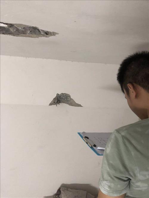 1538453421894572.jpg 147828696818079983.jpg