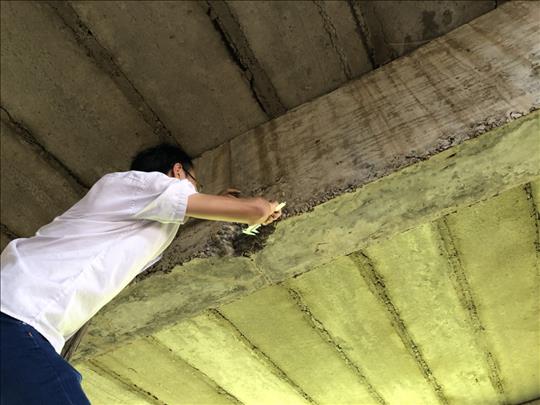 1538708351404600.jpg 414959355009732866.jpg