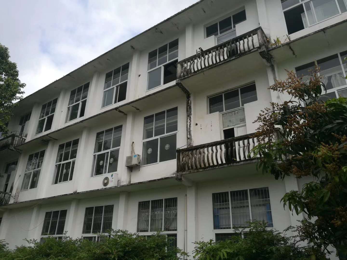 1538722876760982.jpg 624363894976756699.jpg