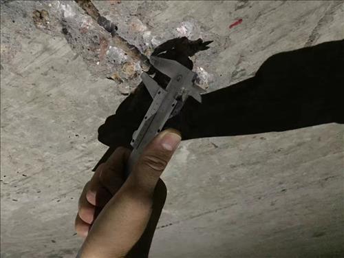 1539242121131083.jpg IMG_5700.JPG