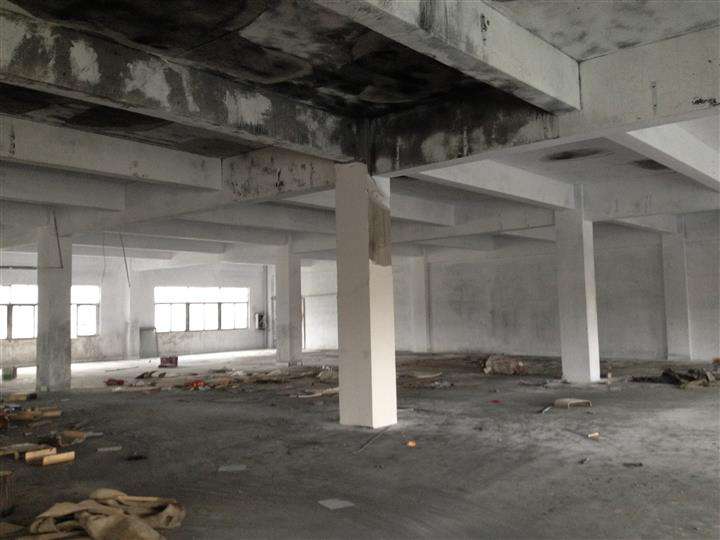 1539315557646031.jpg timg (76).jpg