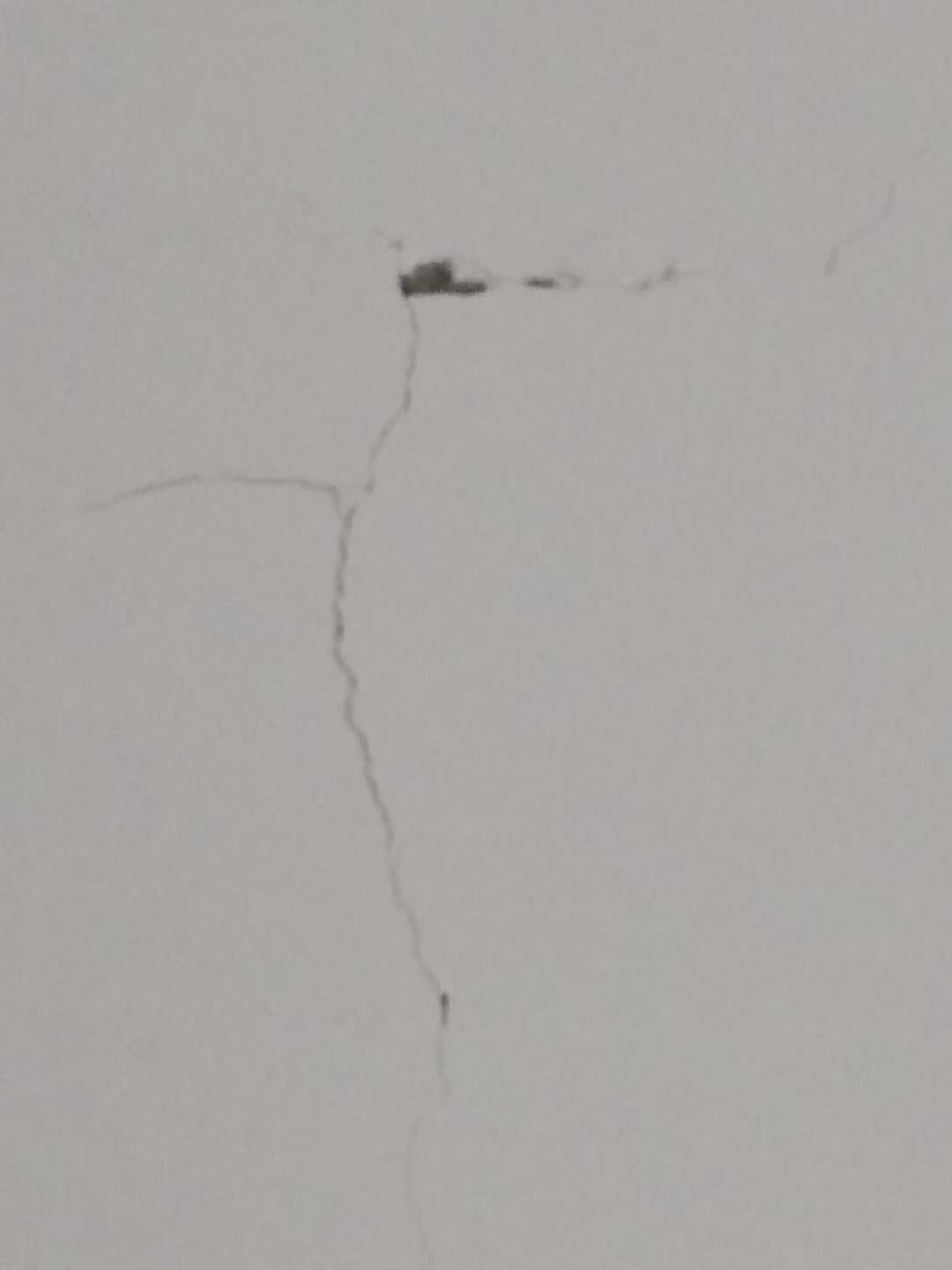 1539355369492970.jpg 485988625504346018.jpg