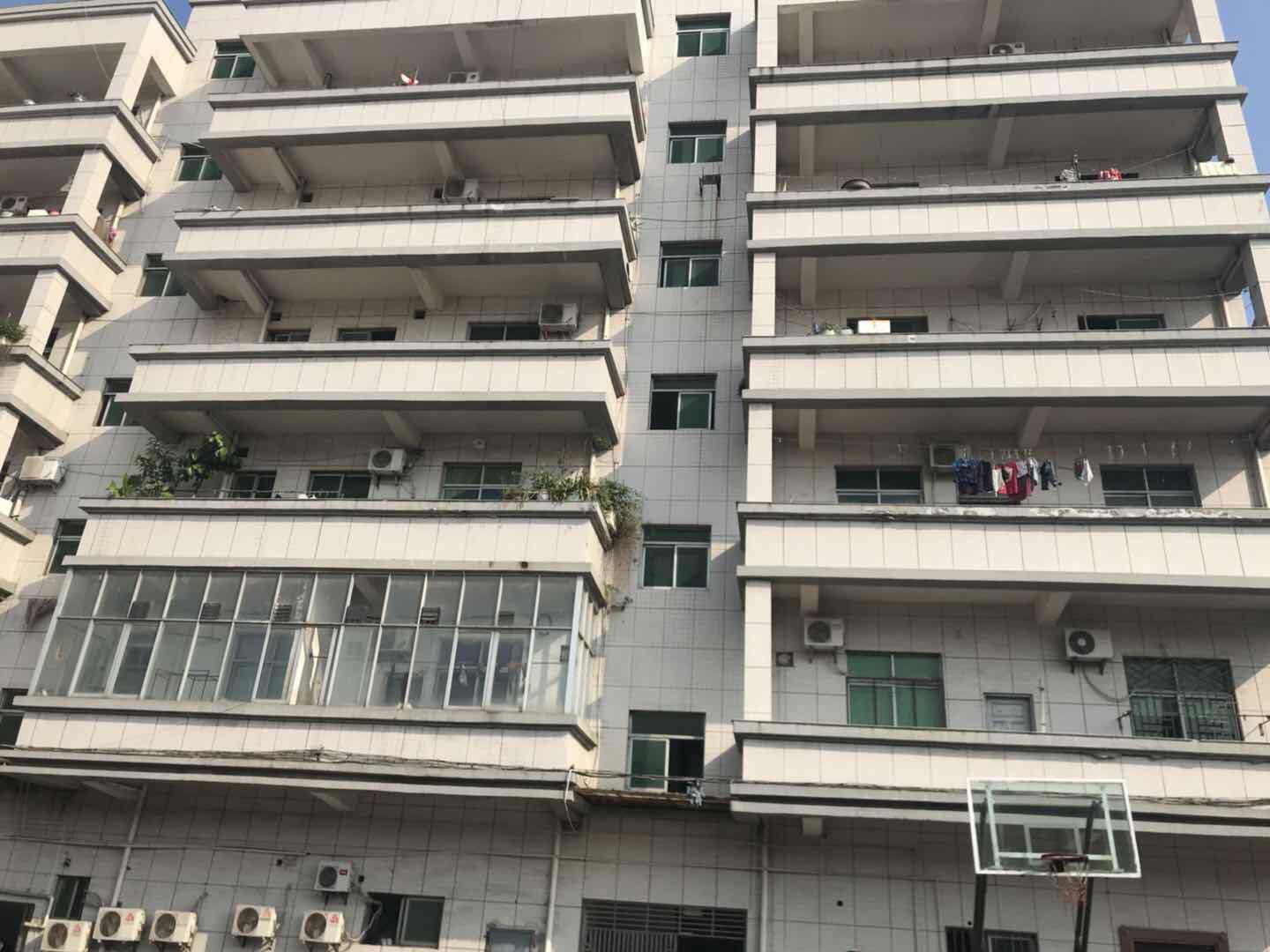 1540205777400429.jpg 604540525432519733.jpg