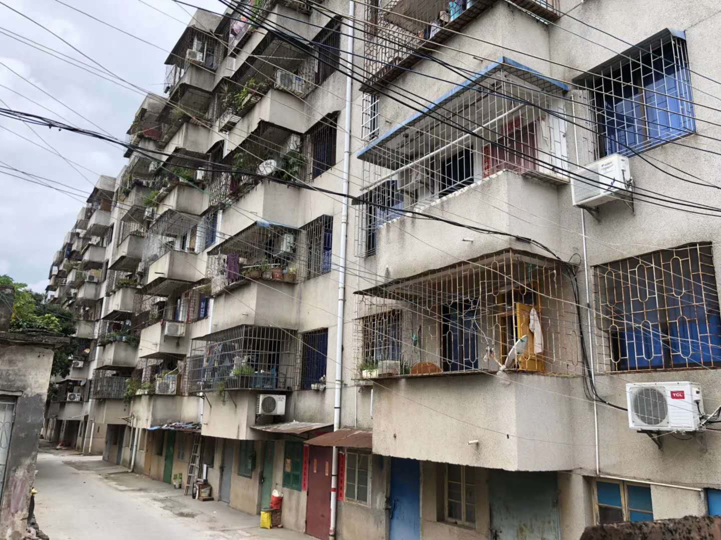 1540270279550092.jpg 783468308569342171.jpg