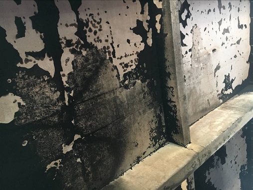 1540894404973188.jpg QQ圖片20170807101629.jpg