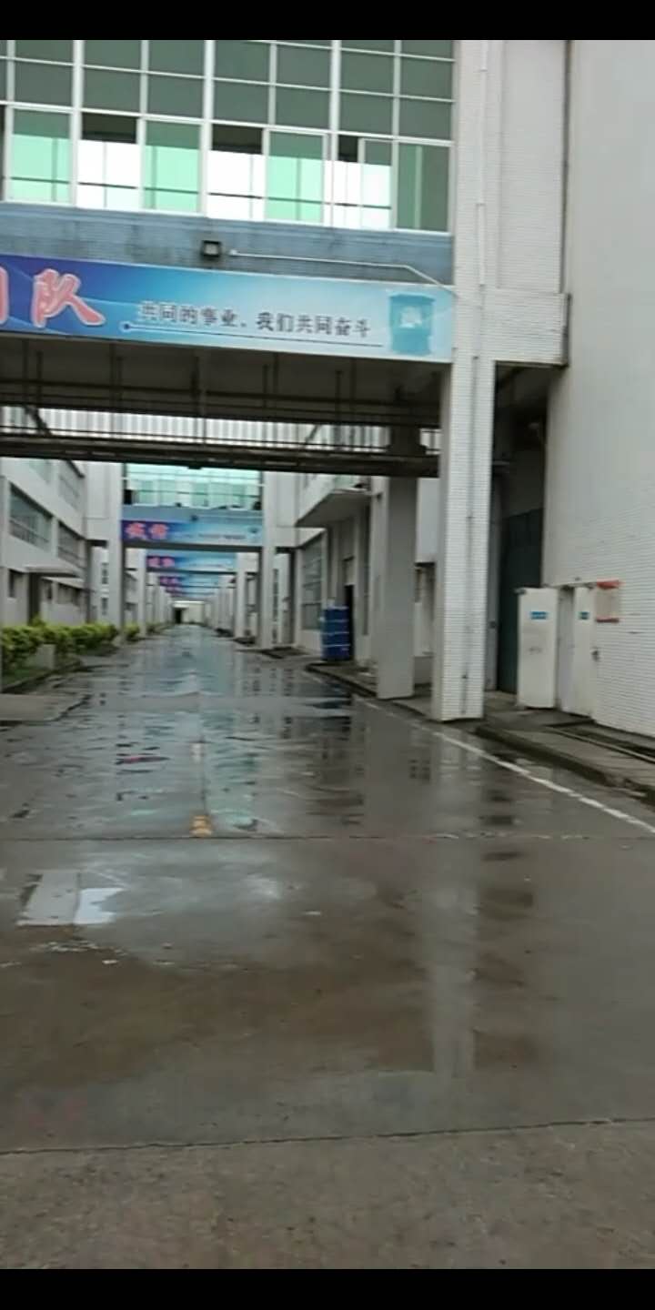 1540991429573527.jpg 448312805268029792.jpg