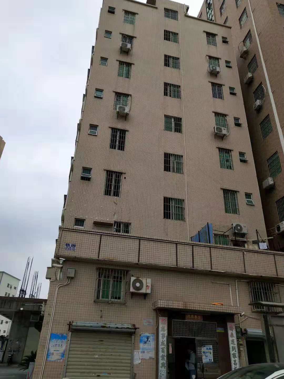 1541067123368457.jpg 153737426345400259.jpg