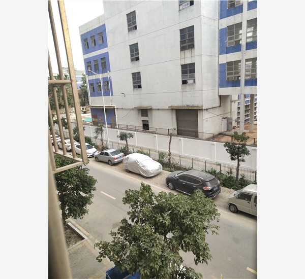 1541422492433425.jpg IMG_20181101_165455.jpg