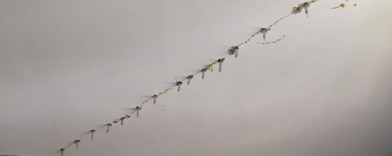 樓板漏水可怎么辦?