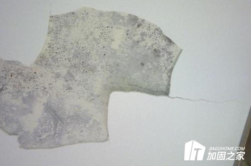 出現裂縫我們該怎么辦?